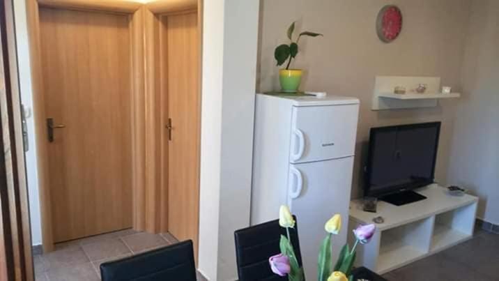 Apartment Dukic Sveti Filip i Jakov Exterior foto