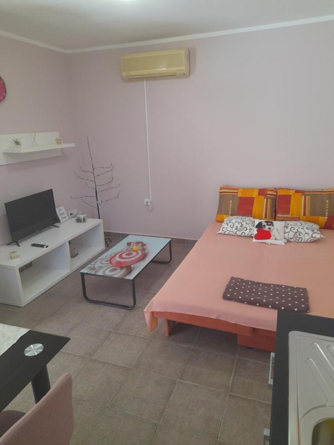 Apartment Dukic Sveti Filip i Jakov Exterior foto