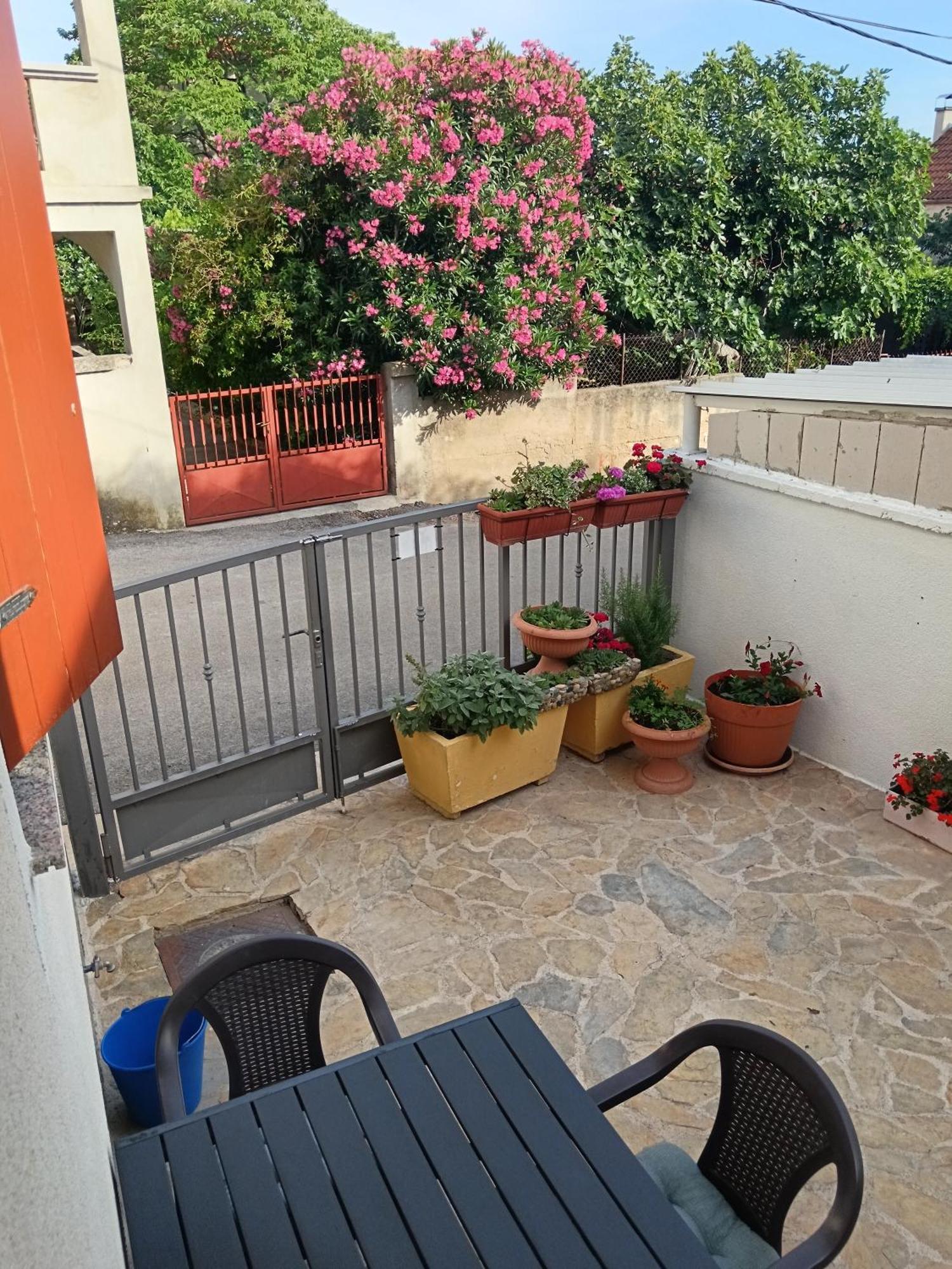 Apartment Dukic Sveti Filip i Jakov Exterior foto