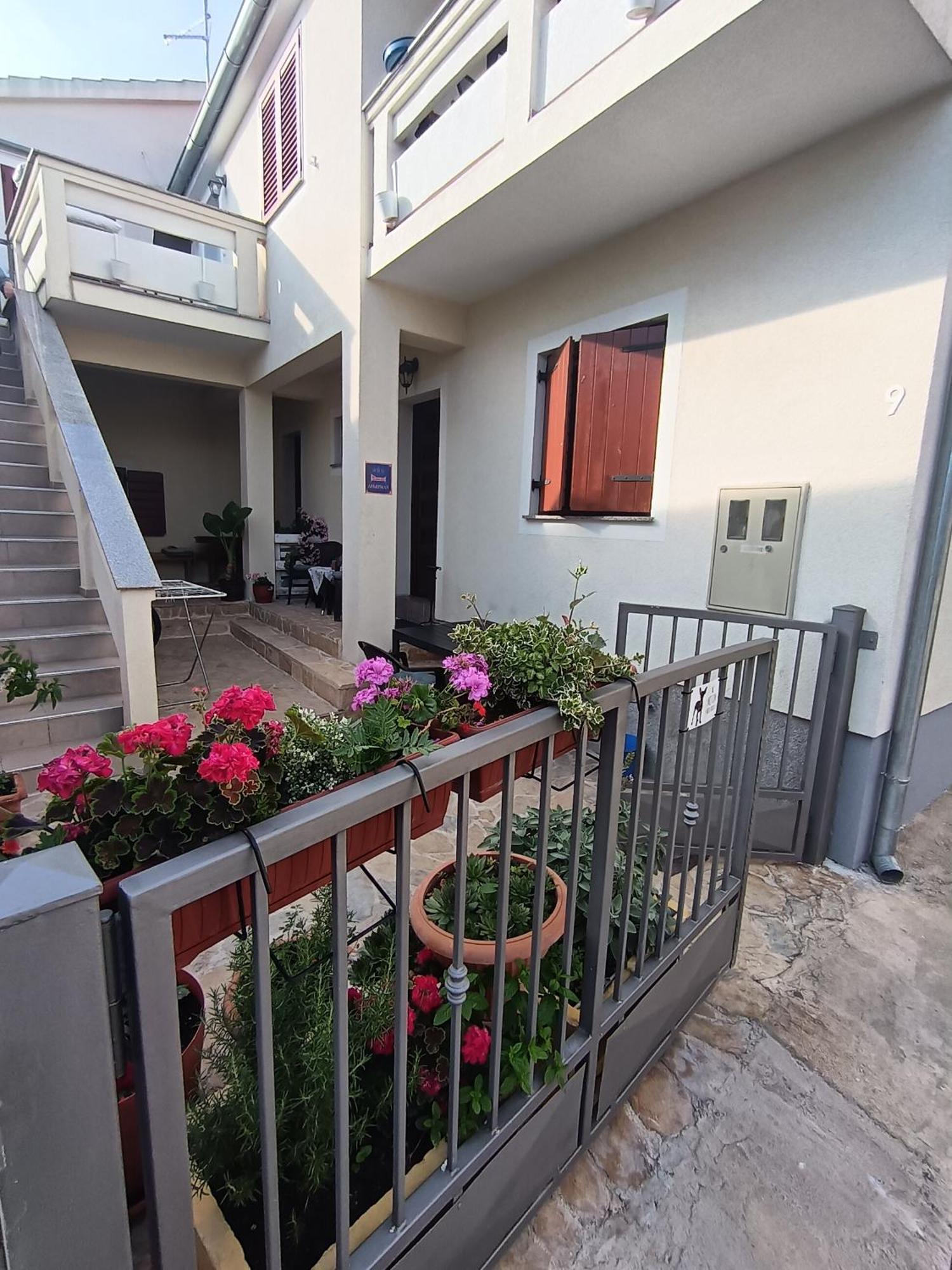 Apartment Dukic Sveti Filip i Jakov Exterior foto